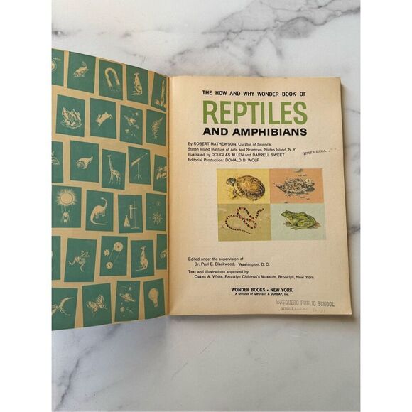 How & Why Wonder Reptiles & Amphibians vintage educational children’s book Curat - Picture 3 of 7